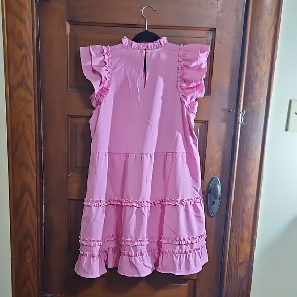 Pink Ruffle Dress - Picture 6 of 8